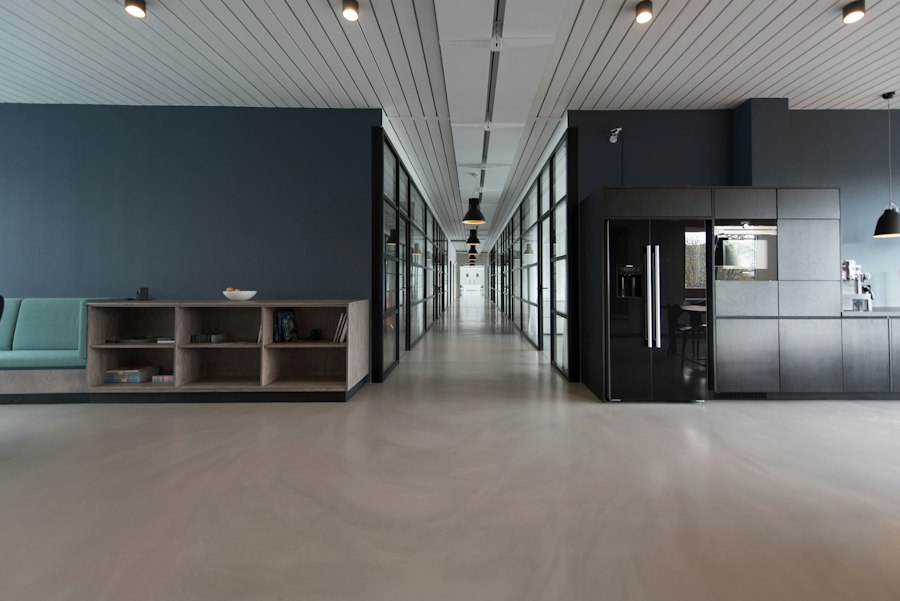 Open-plan office with desks, plants and natural light